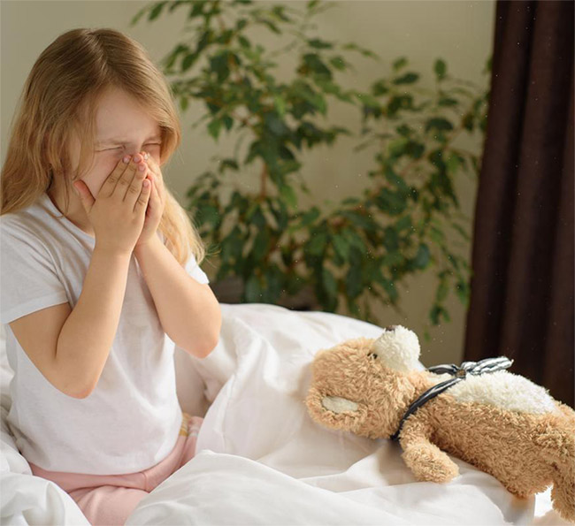 How to Protect Child from Dust Mites - Tips for a Healthier Home