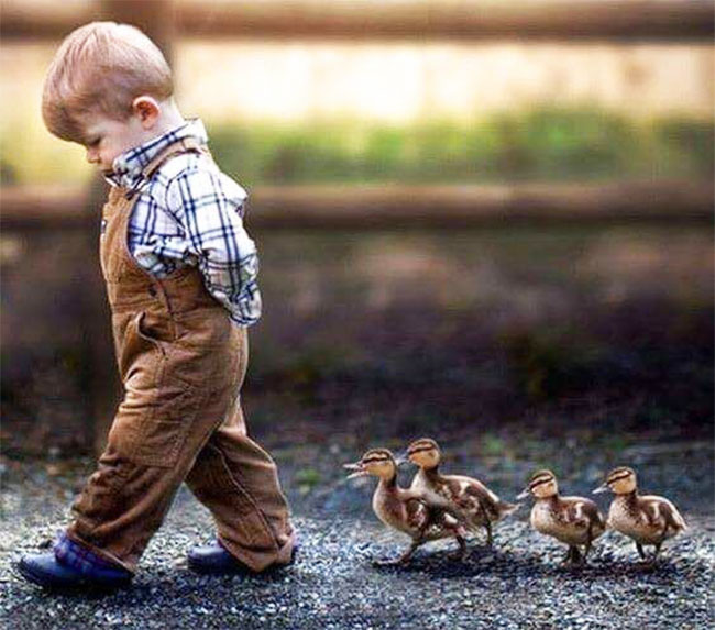 7 Reasons for Baby Offensive Behavior 7 Reasons for Baby Offensive Behavior